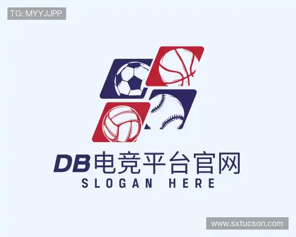 了解DB电竞平台官网